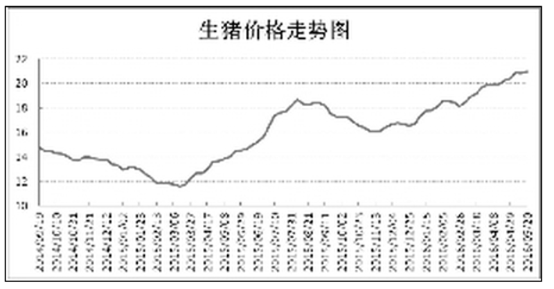 猪圈里的技术革命：养猪业的新风向标