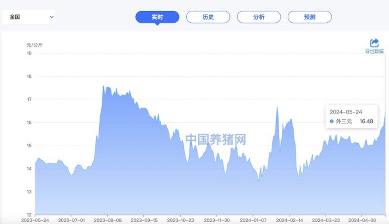 猪病防治：守护生猪产业的绿色长城