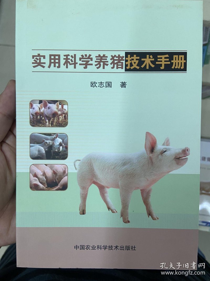 猪场如何有效应对突如其来的疾病挑战